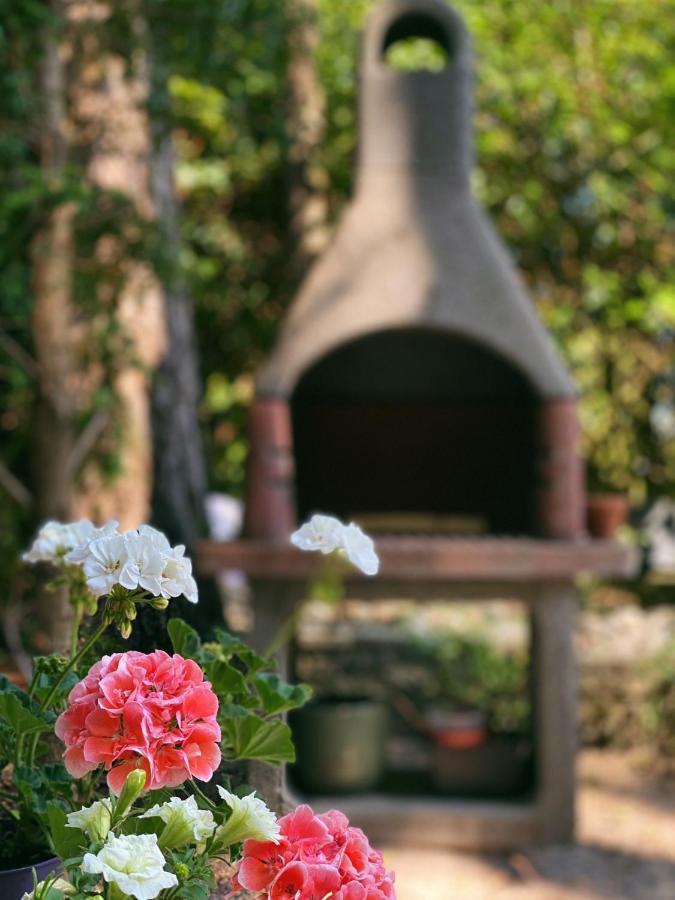 Mimi'S Natuurhuisje Lanaken Ngoại thất bức ảnh